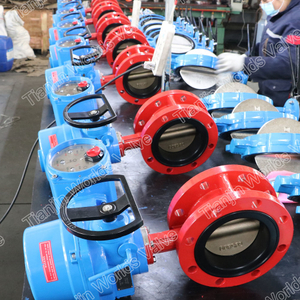 EN593 API609 Double Flange Butterfly Valve with Electric Actuator