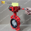 PN6 PN10 PN16 PN25 CL125 Cl150 Two shaft Butterfly Valves with AS TableD Table E Flanges Connection