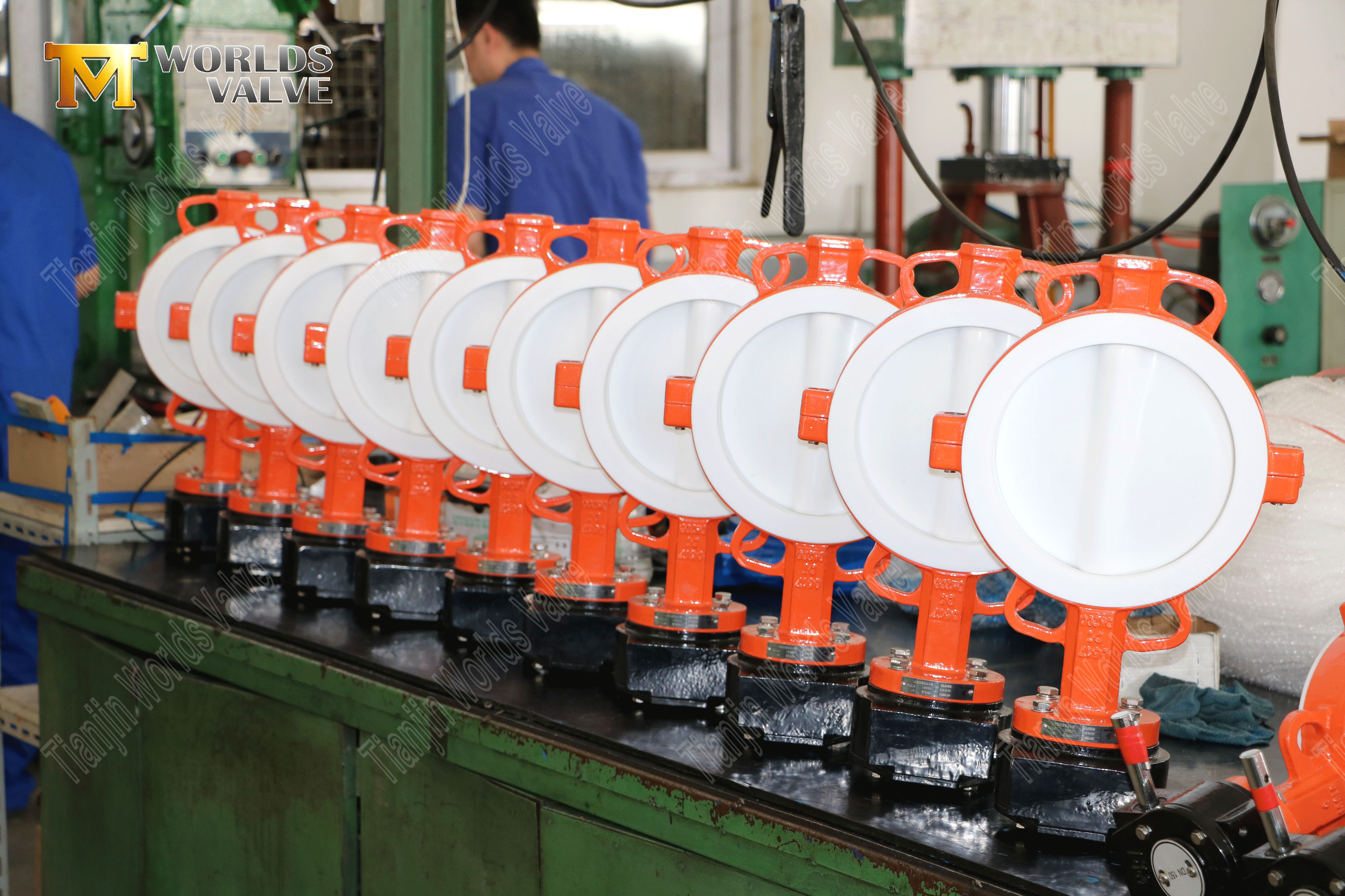 Teflon Lined Butterfly Valve Manufacturer-High Performance Wafer Type Butterfly Valve (1)