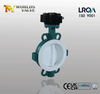 Teflon Lined High Performance Wafer Type Butterfly Valve produced by China Valve Manufacturer-Tianjin Worlds Valve Co.,Ltd.