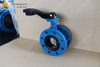 Concentric double flanged butterfly valve with Hand Lever provided by China OEM|ODM Valve Supplier-Tianjin Worlds Valve