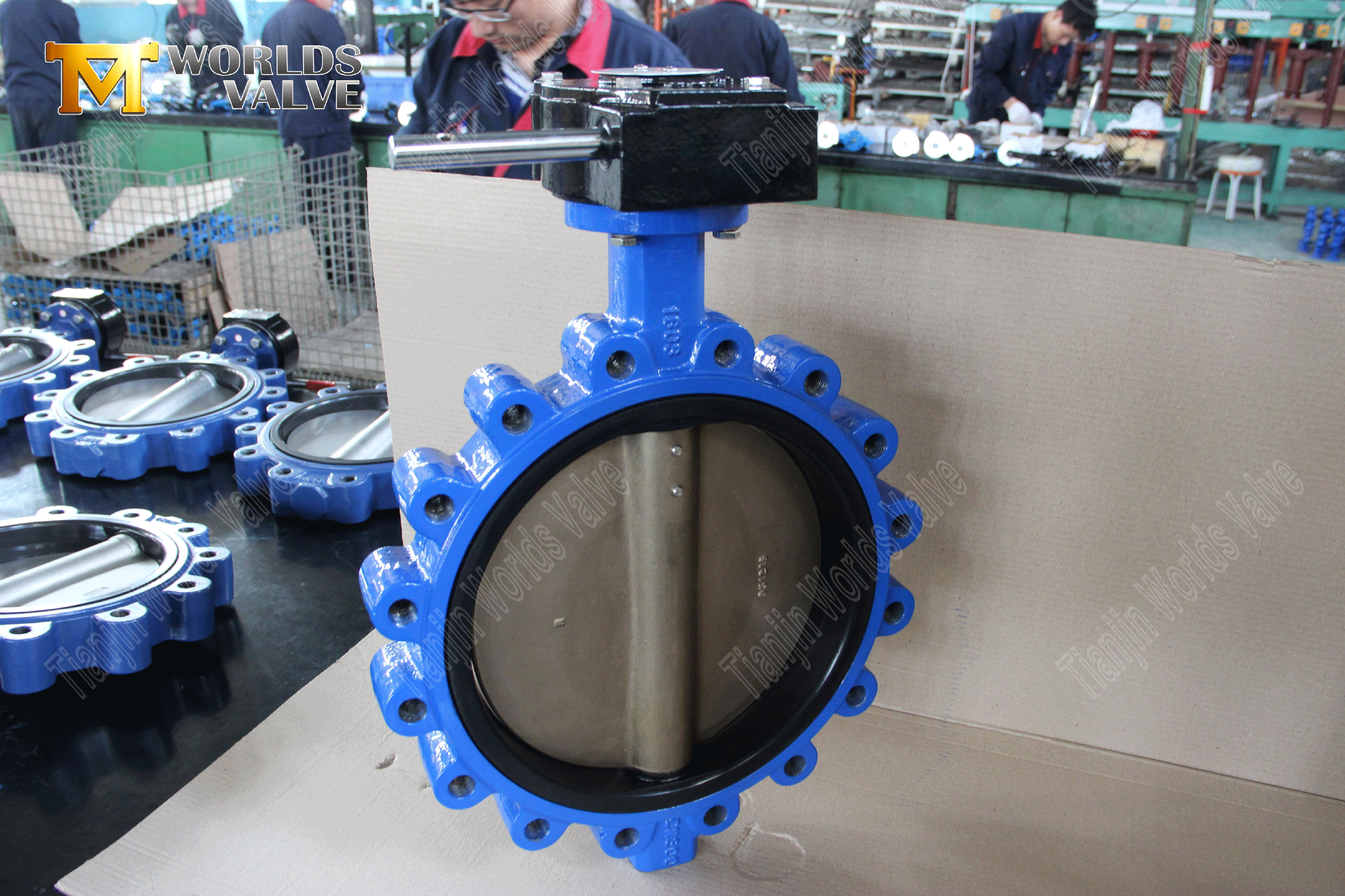 EPDM seat High-pressure butterfly valve with Lug type-Butterfly Valve Manufacturer (2)