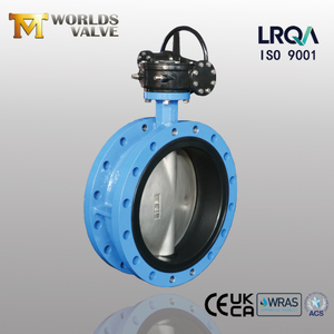 butterfly valve with awwa c504 standard - concentric butterfly valve manufacturer-Tianjin Worlds Valve Co., Ltd.