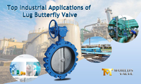 //ikrorwxhnjoklo5p-static.micyjz.com/cloud/lqBprKiklmSRklkmrmiiio/Top-Industrial-Applications-of-Lug-Butterfly-Valve.jpg