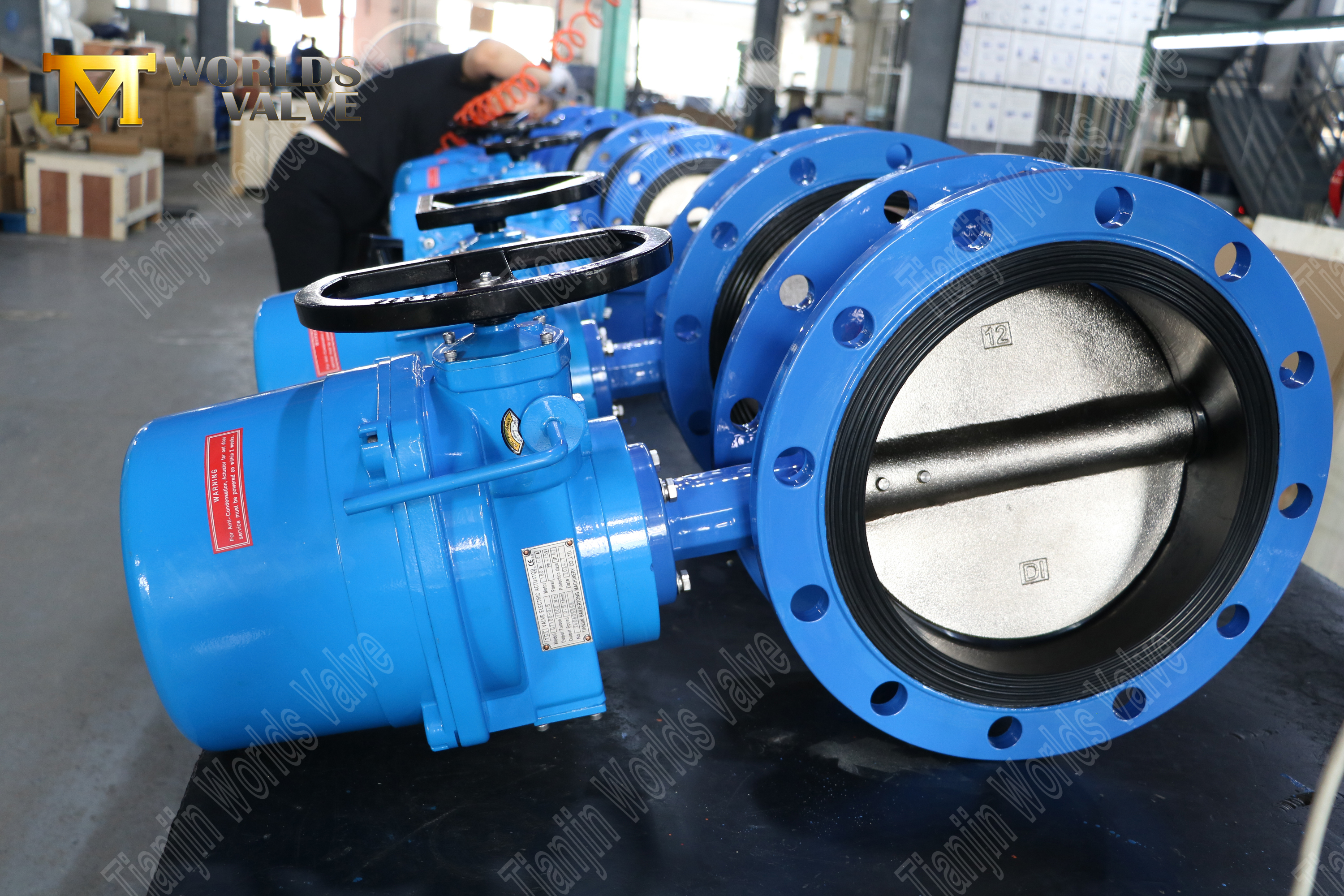 Ductile Iron Valve Disc Vulcanized Rubber Seat Butterfly Valve Corrosion-Resistant Flow Control-2 (1)