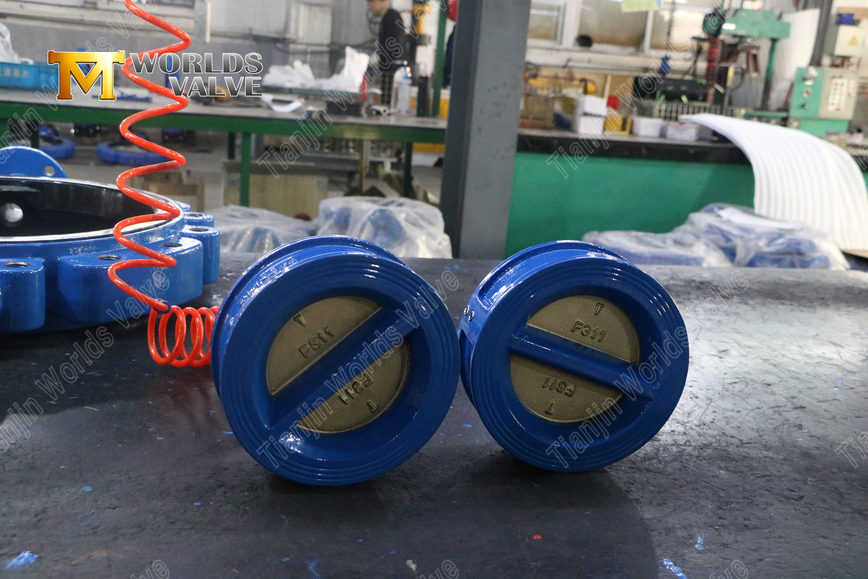 Stainless Steel Double Disc Wafer Type Non-Return Valve Zero-Leakage Backflow Prevention-1 (2)