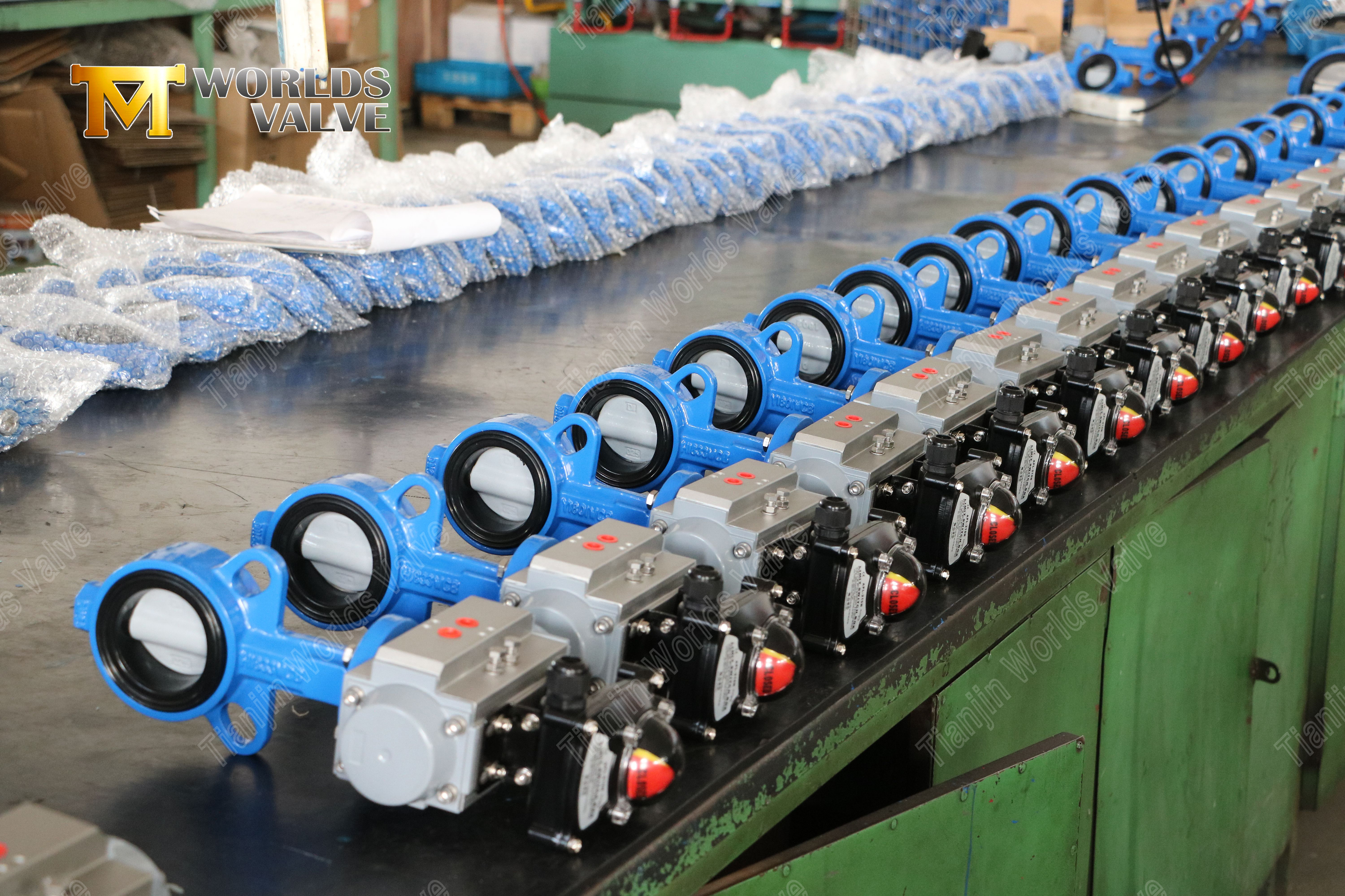 Wafer Butterfly Valve with Nylon Coated Disc & WCB Body Cost-Effective Corrosion Resistance-1 (1)