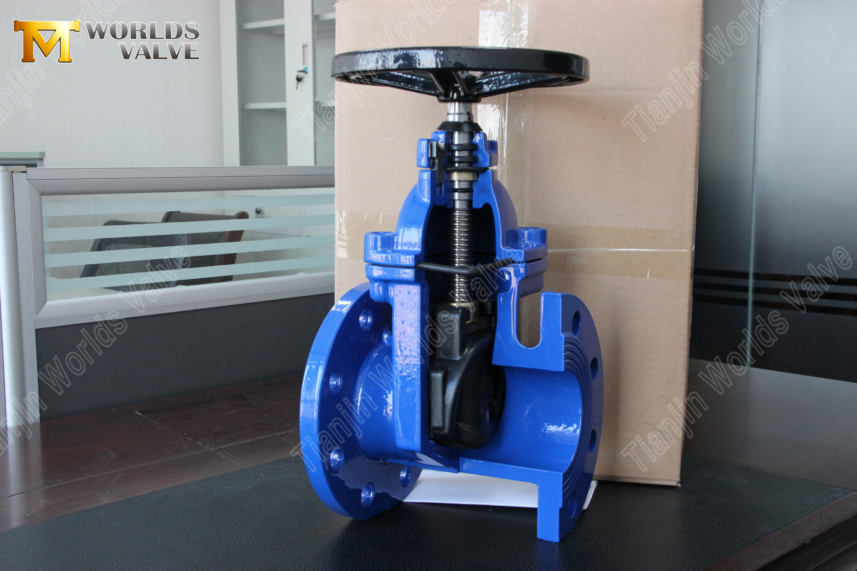 BS5163 Resilient Seated Non-Rising Stem Ductile Iron Gate Valve Reliable Water Control Solution-1 (1)