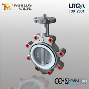Stainless Steel Lug Butterfly Valve with PTFE Seat | Corrosion-Resistant Industrial Solution-Tianjin Worlds Valve Co., Ltd.