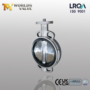 Hard Back Seat SS Wafer Butterfly Valve with Polishing Disc Offered by China OEM Valve Manufacturer and Supplier