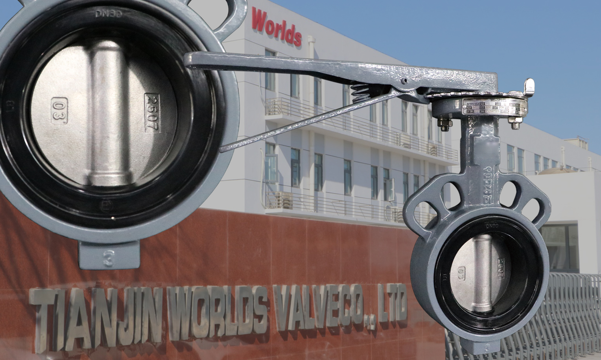 Soft Seal EPDM Covered SS 2507 Disc Butterfly Valves with Wafer Type Design | Superior Corrosion & Abrasion Resistance