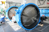 Gear Operated Cast Iron Di Double Flanged Butterfly Valve with C954 Disc Extension Stem