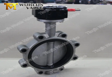 What are the common failures of lug butterfly valve?