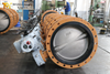 Electric Double Flanged Butterfly Valve with Worm Gear supplied by China Butterfly Valve Manufacturer-Tianjin Worlds Valve