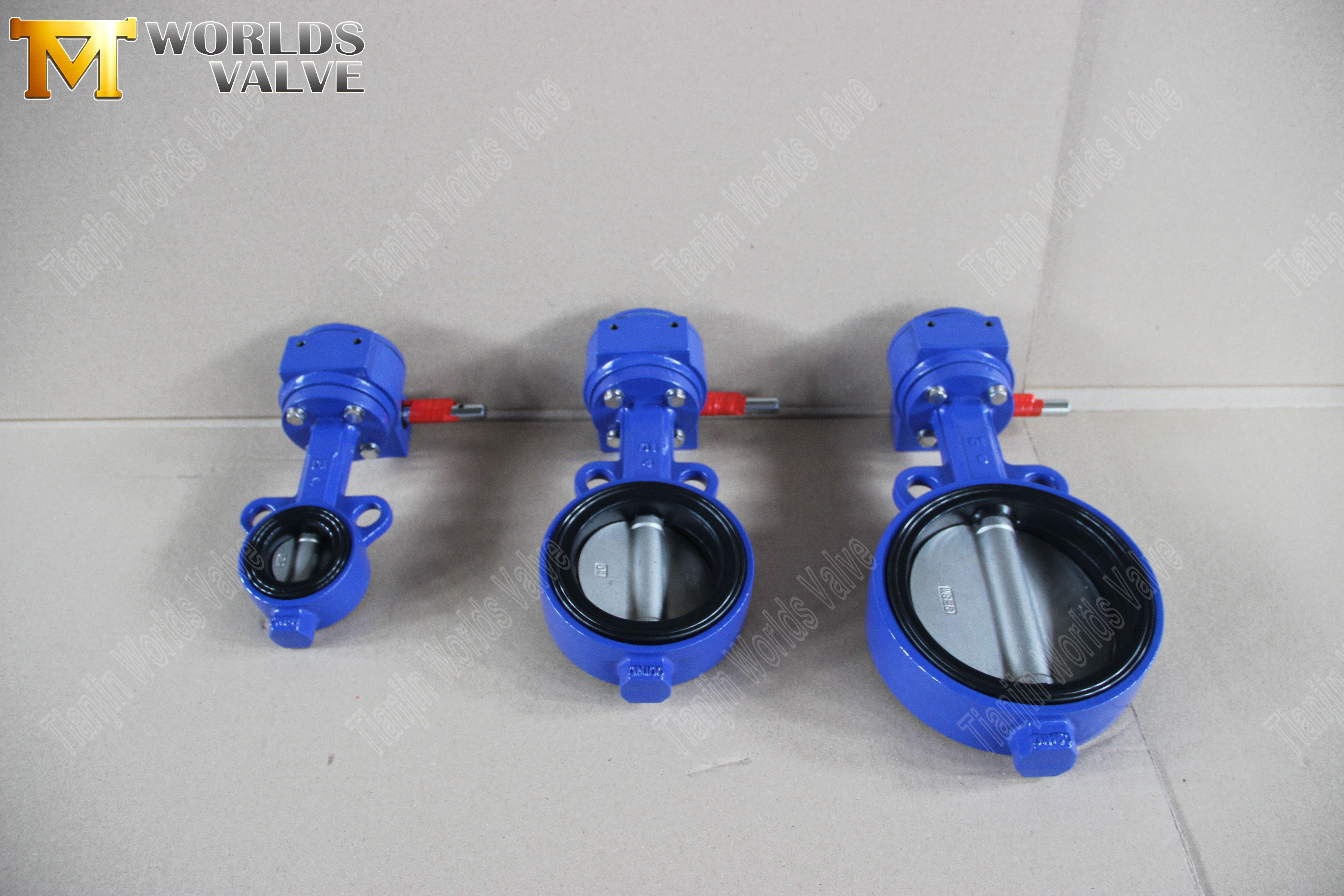 Butterfly Valve Suppliers - SS Disc Wafer Butterfly Valve with Hand Lever (8)