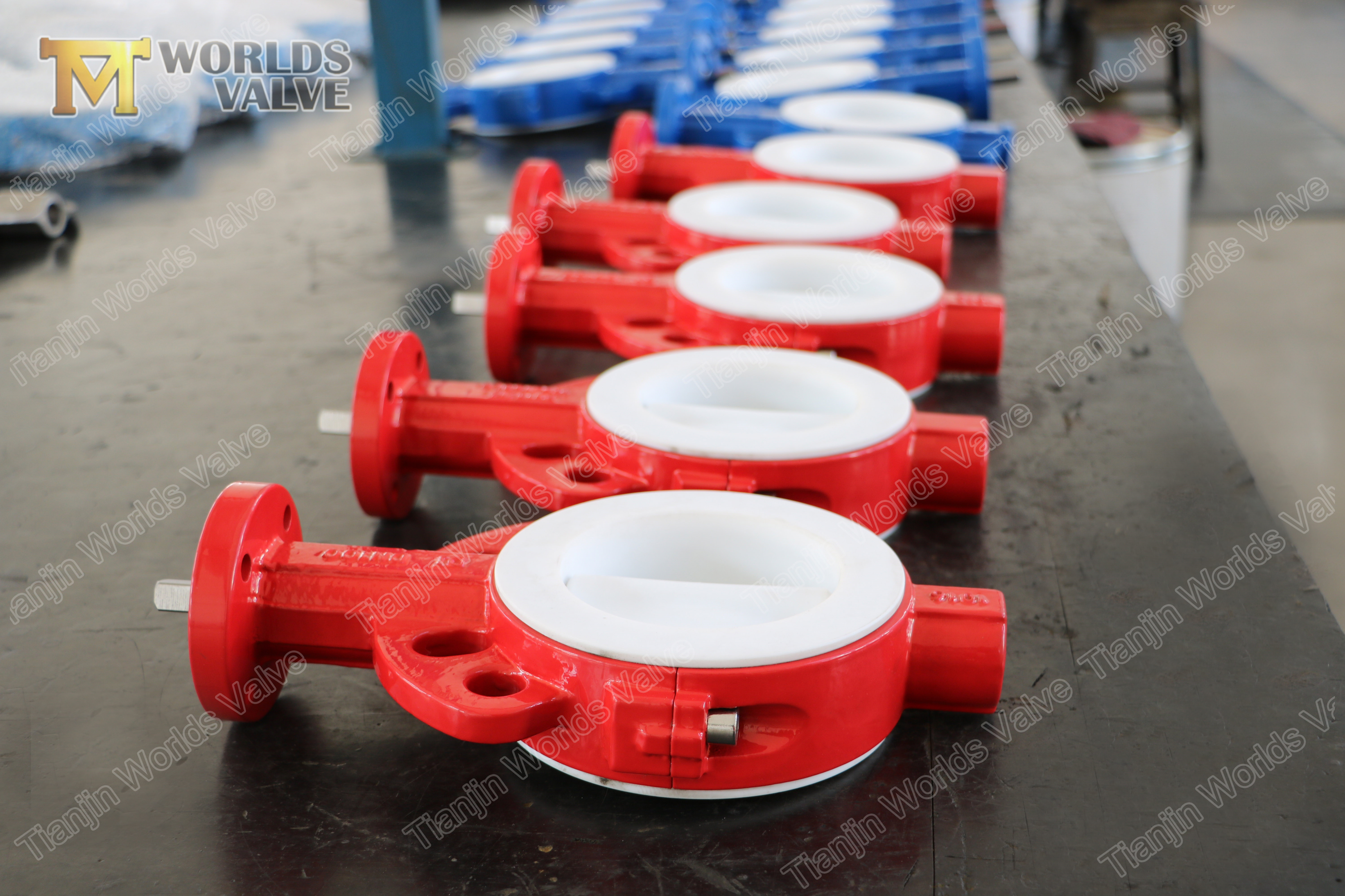 4 Full PTFE lining WAFER TYPE CONCENTRIC BUTTERFLY VALVE