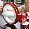 PTFE/PFA Coating Concentric type Double Flanged Butterfly Valves