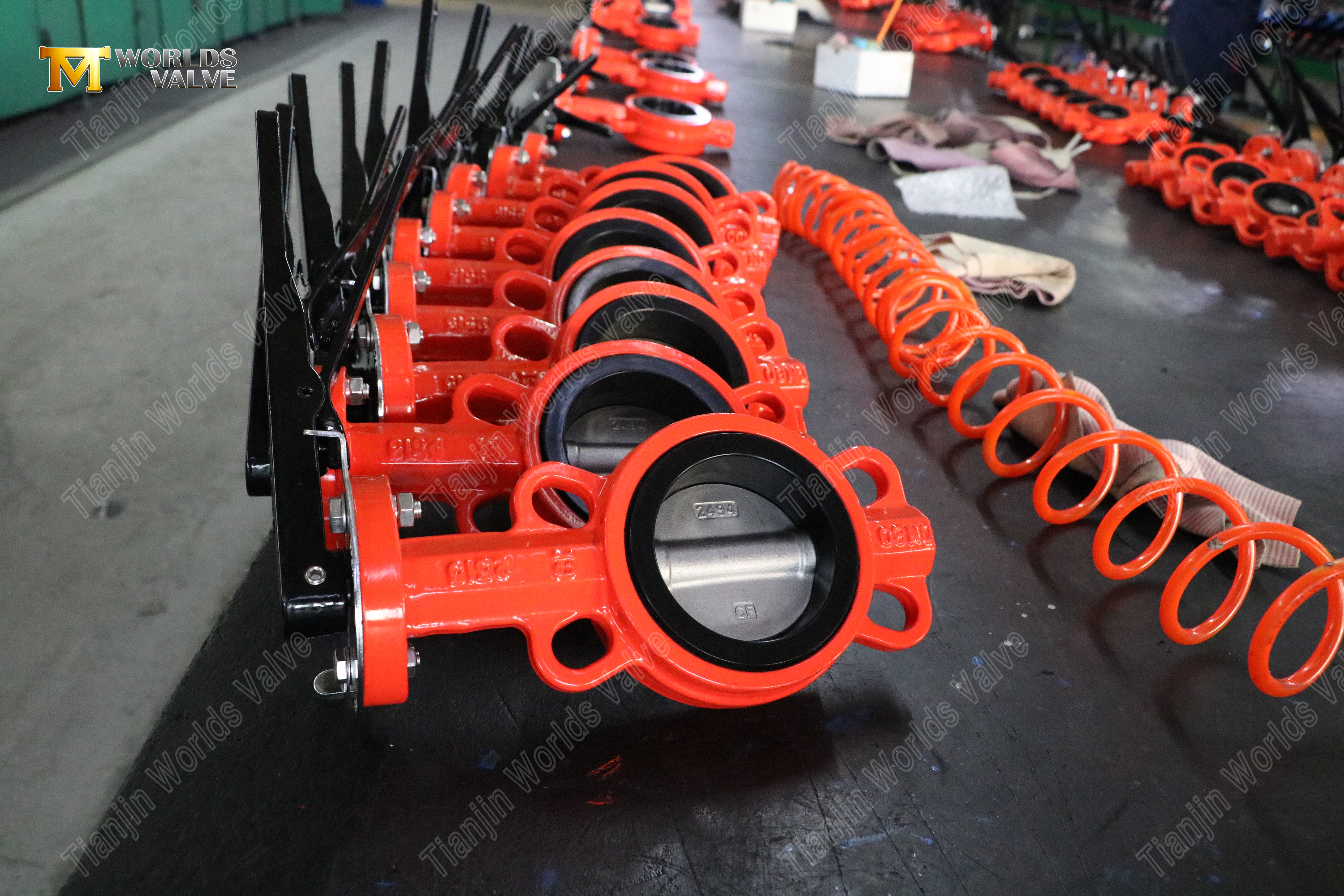 Hard Back Rubber Seat & SS Disc Butterfly Valve-1 (1)