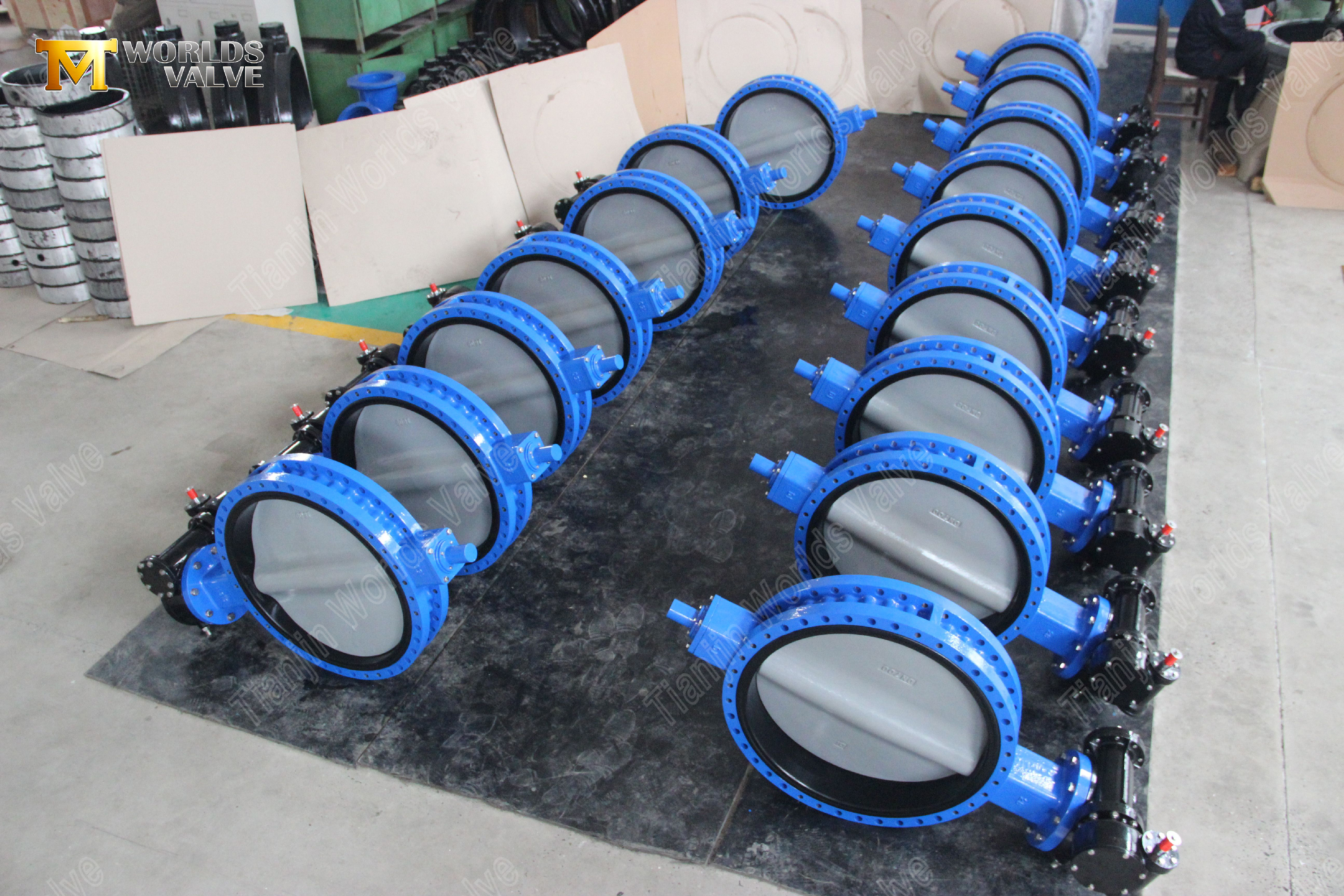 Gear Operated U Type Flange Butterfly Valve with Nylon Coated Disc (7)