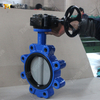 Nylon coated DI Disc Lug Butterfly Valve produced by China Lug Butterfly Valve Supplier-Tianjin Worlds Valve Co., Ltd.