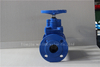 DIN3202 F5 Rubber Gate Valve with Ductil Iron Body with Gearbox