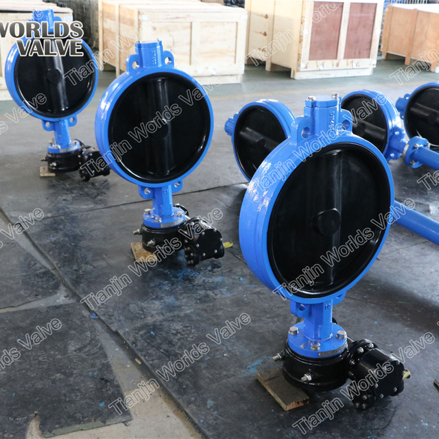 Center Liner Butterfly Valve with Rubber Coated Disc