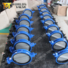 Nylon coated Double Flanged Butterfly Valves Class125 Class150