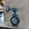 Rilsan Nylon 11 Coated Disc Cast Iron Wafer Butterfly Valve 