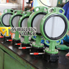 Rilsan Nylon 11 Coated Disc Cast Iron Wafer Butterfly Valve 