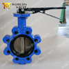 Tapped Threaded hole Lugged Butterfly valve with Lever Gear Operator