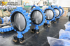 Viton/FKM/FPM Rubber Seat Butterfly Valve for Water