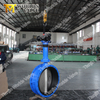 Extension long stem Double Flange Butterfly Valve with Gear Operator