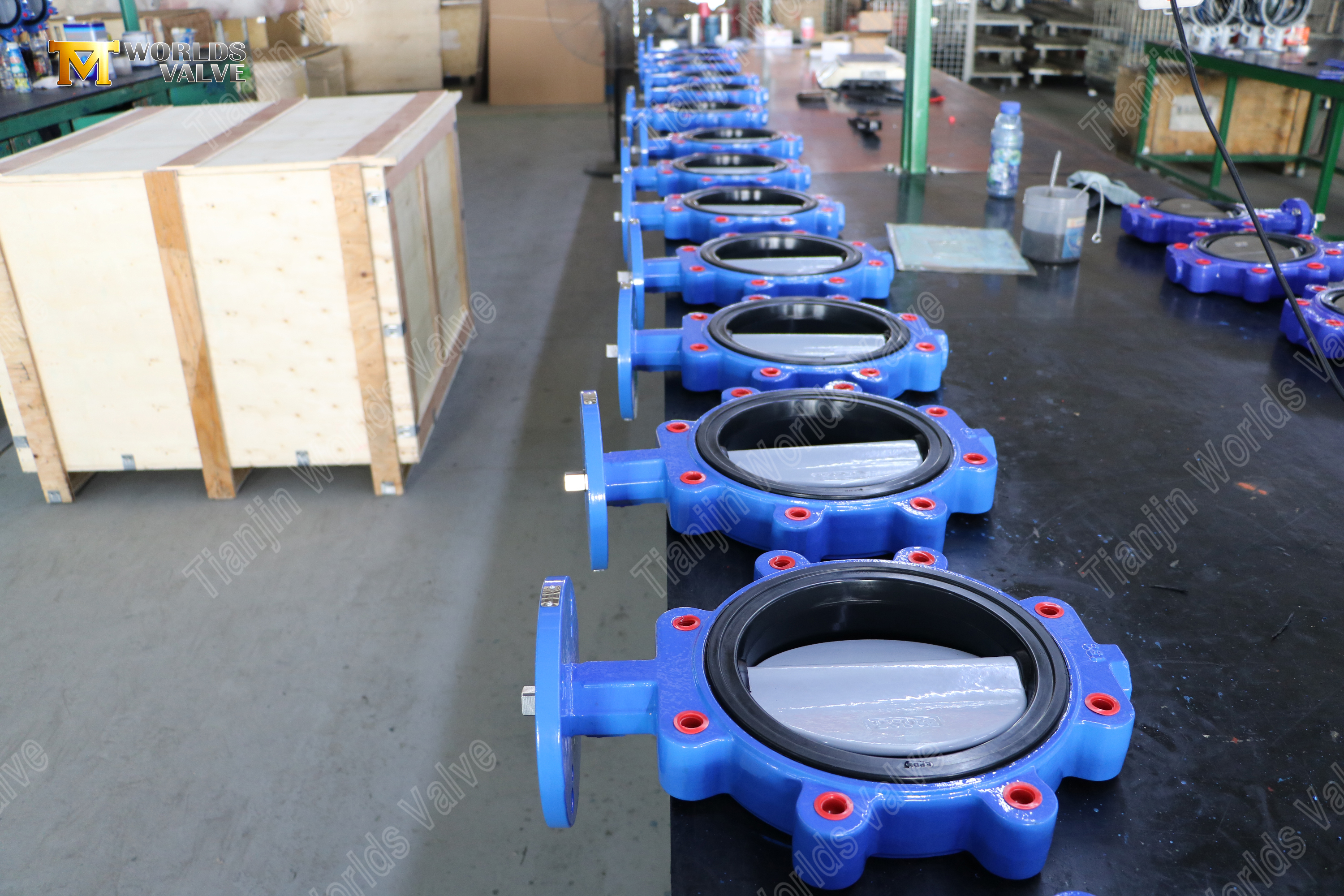 Lug Type Butterfly Valve with Replaceable EPDM Seat DI Body CF8M Disc OEM Supplier (8)