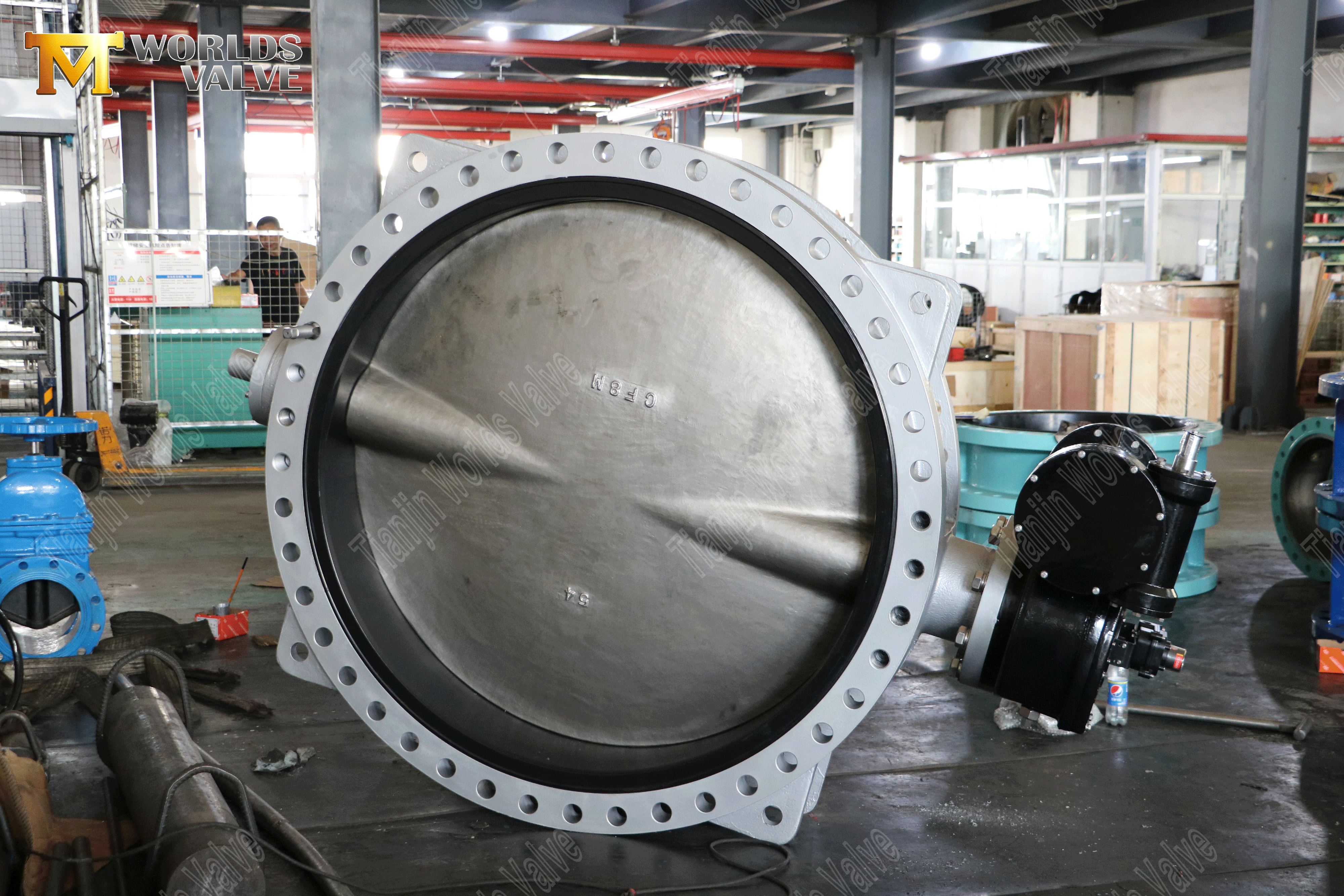 18 Double Flanged Butterfly Valve with Super Duplex Disc and Vulcanized Rubber Seat ISO 5211 Top Flange (2).png
