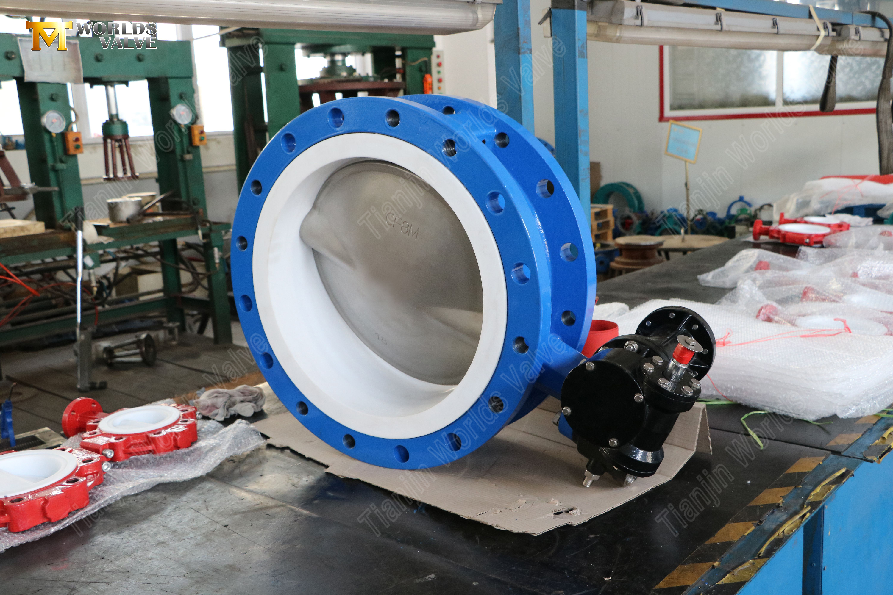 Flanged-Butterfly-Valve-with-PTFE-Seat-and-CF8M-Disc--Split-Body-Design-3.jpg