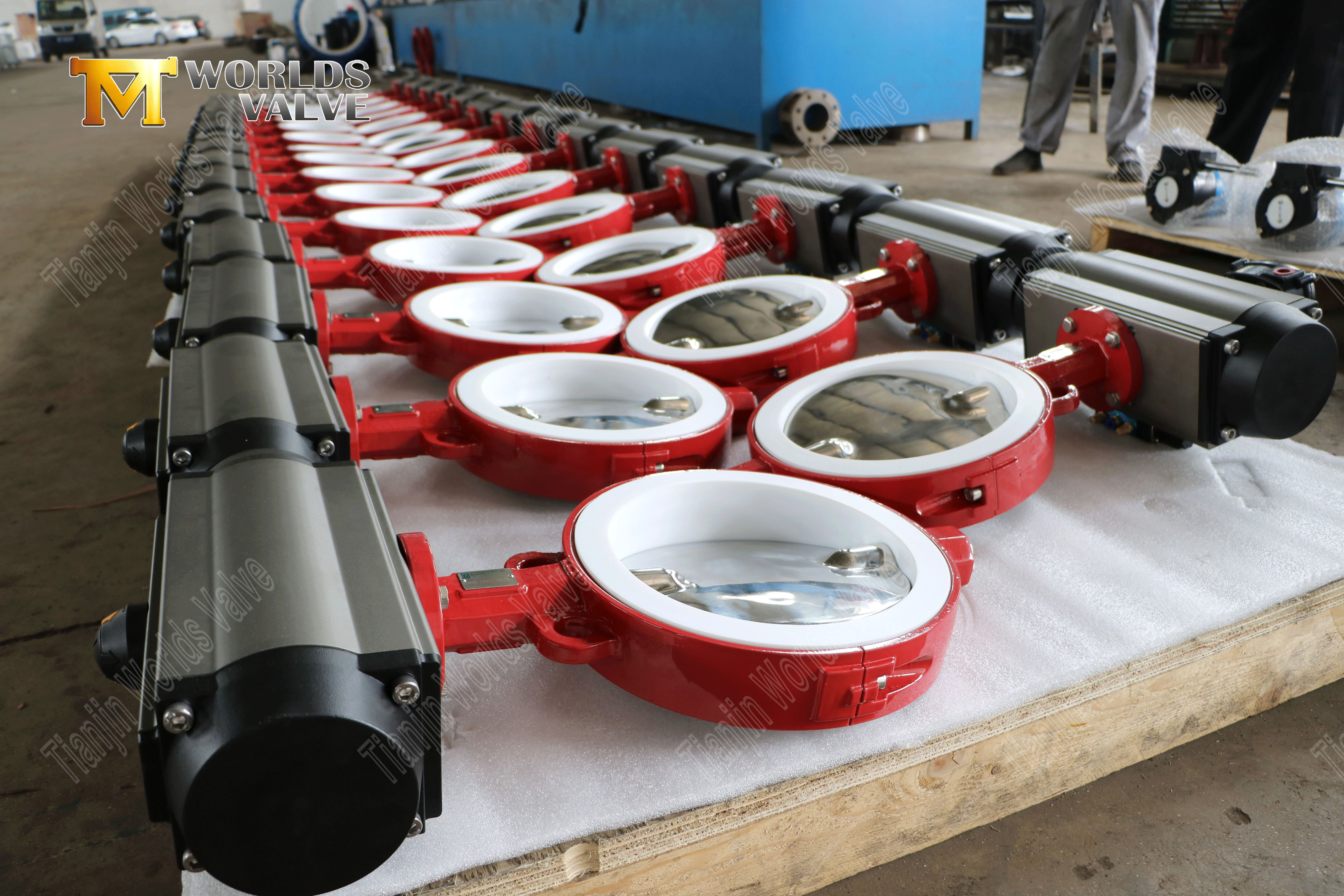 PTFE Lined Butterfly Valve with Polished Disc and Pneumatic Actuator-2 (2).png