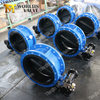 Centre Sealing Double Flanged Butterfly Valve with Full Rubber Coated Disc