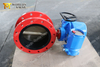 EN593 API609 Double Flange Butterfly Valve with Electric Actuator