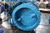 Double Eccentric Double Flange Butterfly Valve with WRAS ACS Certificate EN558 Series13 Series14