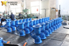 Cast Ductile Iron Y Type Strainer with Ss Screen Filter 