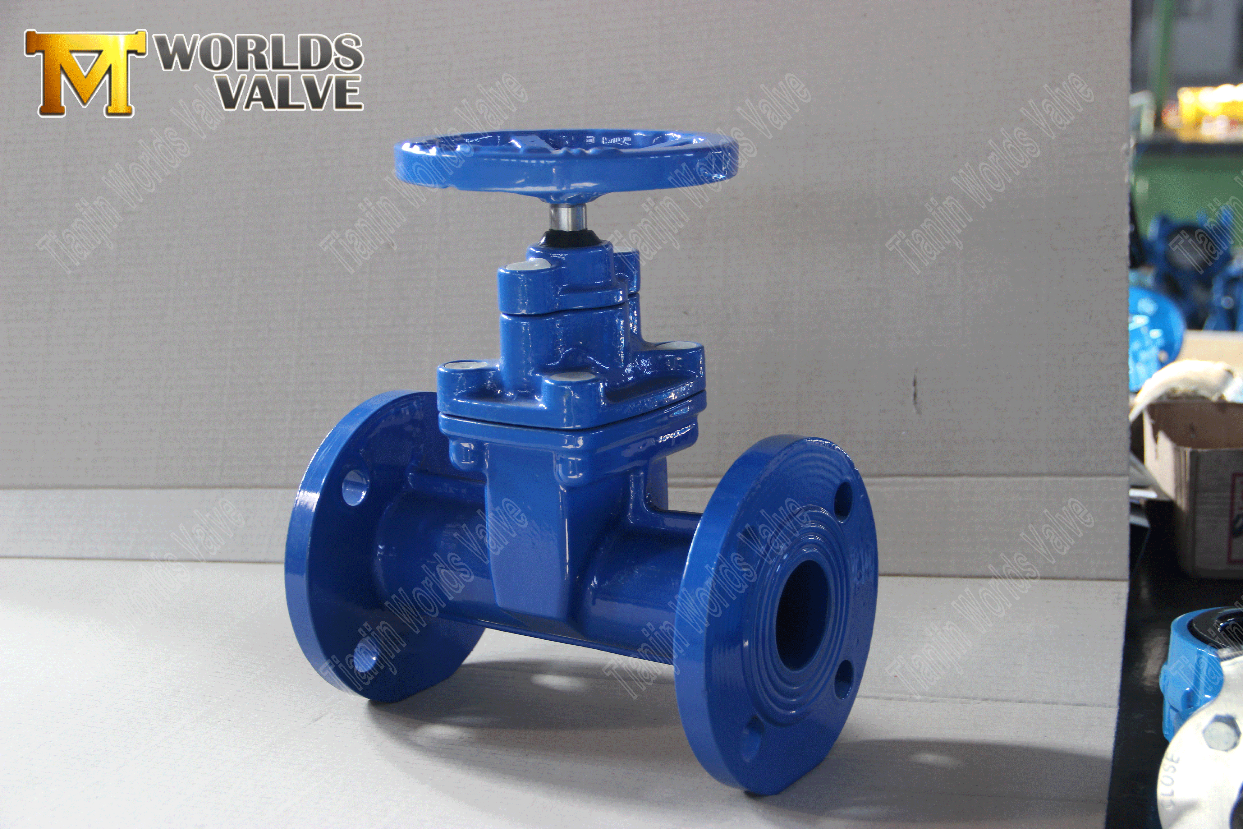 DIN 3202 F5 Resilient Seated Gate Valve with Ductile Iron-1