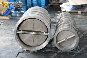 Stainless Steel SS304 SS316 Double Door dual plate check valves PN10 PN16 CLASS150