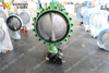 24 Inches Lugged And Tapped Rubebr Butterfly Valve 