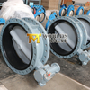 Nylon 11 coated painting disc flanged butterfly valve 