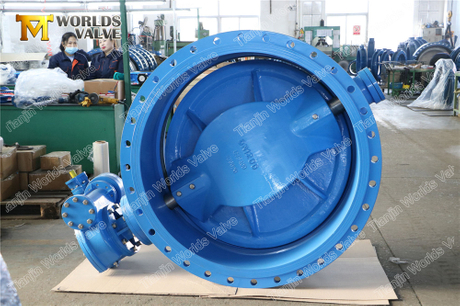 Double Eccentric Flanged Butterfly Valve with Akzonobel Epoxy Body & Disc