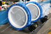 Concentric Double flanged Type PFA lining disc Butterfly Valves 