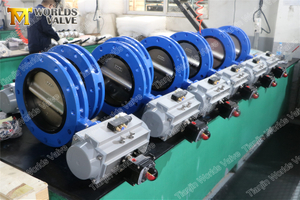  U-Section double flanged Butterfly valve U-Section with Pneumatic actuator