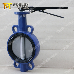 Loose liner Tongue Groove Design Wafer Butterfly Valve Replaceable Seat