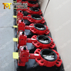 PN6 PN10 PN16 PN25 CL125 Cl150 Two shaft Butterfly Valves with AS TableD Table E Flanges Connection