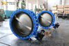 High-Performance Double flanged butterfly valve with gearbox supplied by China Valve manufacturer-Tianjin Worlds Valve Co.,Ltd